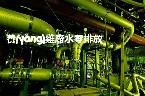 養(yǎng)雞廢水零排放之路？探索高效低成本的綠色處理方案！